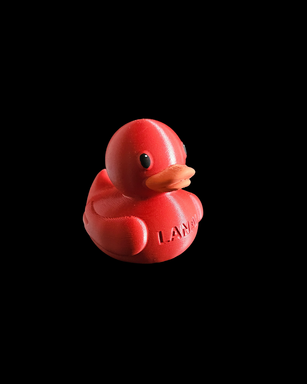 Thumbnail: The Duck R