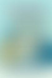 How to Review Your Investment Portfolio Before 2026 | Wealth Management Chennai