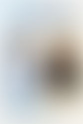 SIP vs Lump Sum – What Works Best for Year-End Investing? | SIP Advisor Chennai