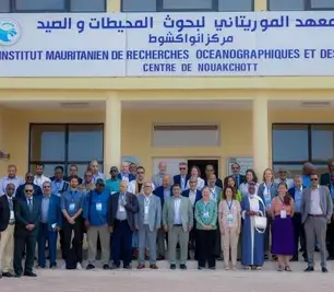La Table Ronde Mondiale sur les Ingrédients Marins (GRT) publie le rapport de l'atelier de 2025