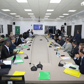 13th Annual FIP Meeting on Small Pelagic Fisheries