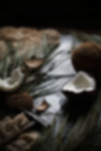 Miniatura: COCONUT BLANKET