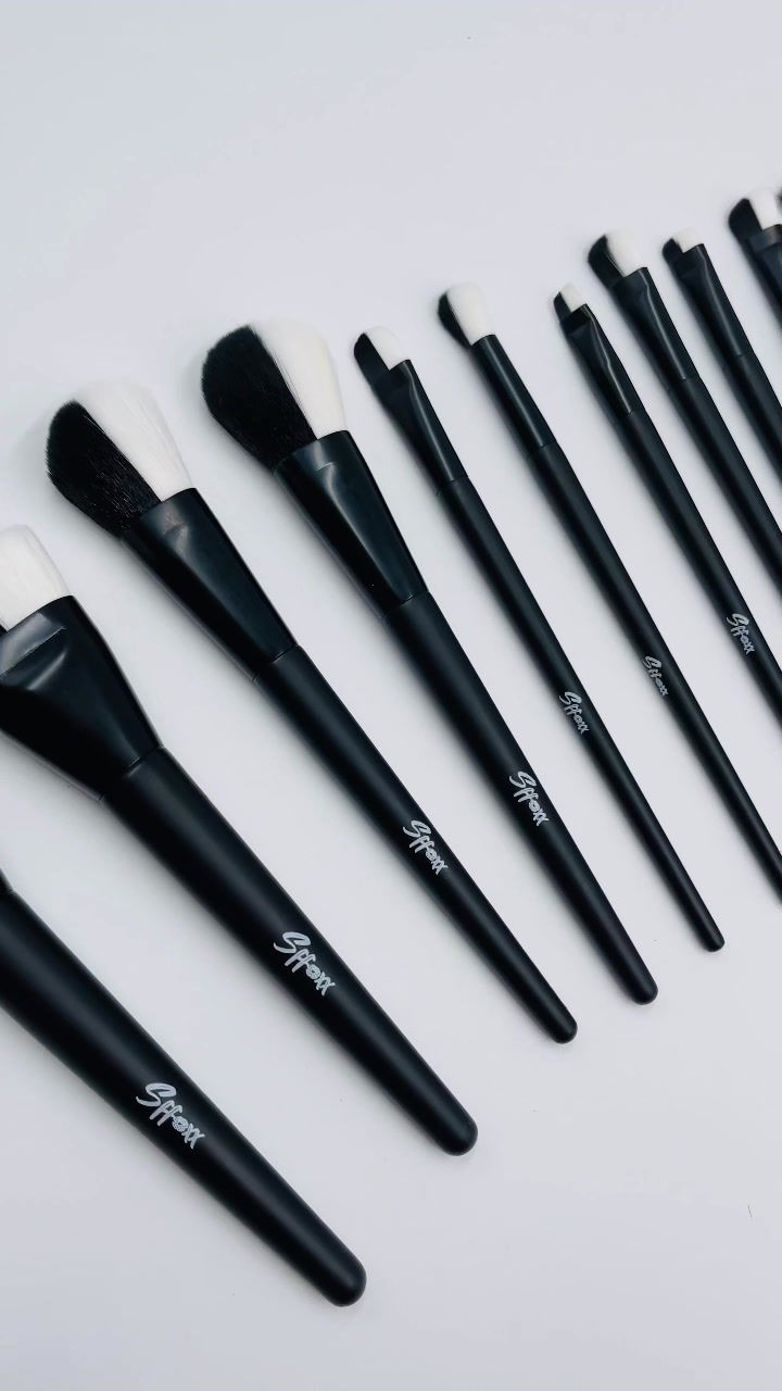 Thumbnail: SF 12 PIECE BRUSH SET