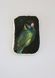 wild n west with 28 parrot