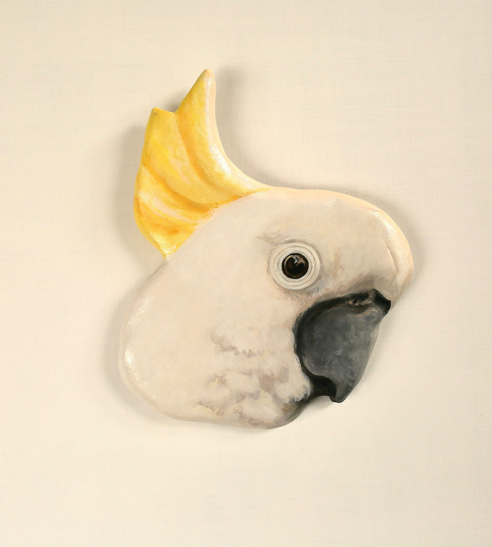 Sunburnt Country - Sulphur Crested Cockatoo