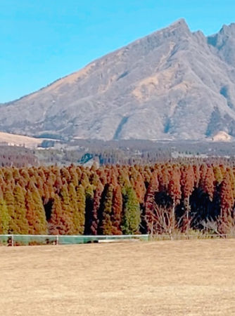 写真 2022-03-08 12 04 47_edited_edited.jpg