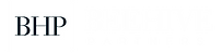 Logo Beehive Partners - Cabinet de conseil en gestion de projets
