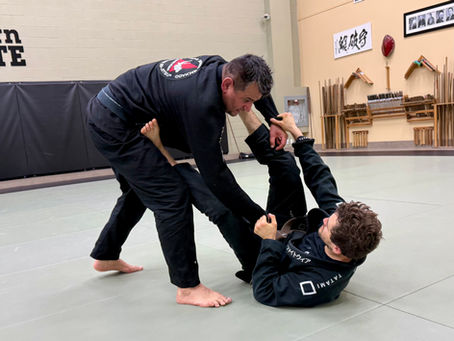 Your Complete Teen BJJ Success Guide - From White Belt and Beyond