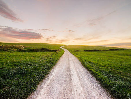 The Never Ending Journey in Karate and Brazilian Jiu Jitsu