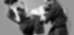 37c775_31b6cff8194942b3996aa1ee32eded55~mv2_edited_edited.jpg