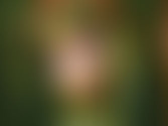 Heartfelt Harmonies: Wotts' 'Be Kind' Takes Flight