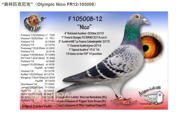 “奥林匹克尼克”(Olympic Nico FR12-105008)