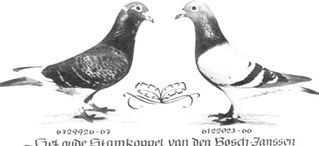 L'histoire de Huyskens van Riel (2)