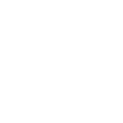 ball-of-basketball copy.webp