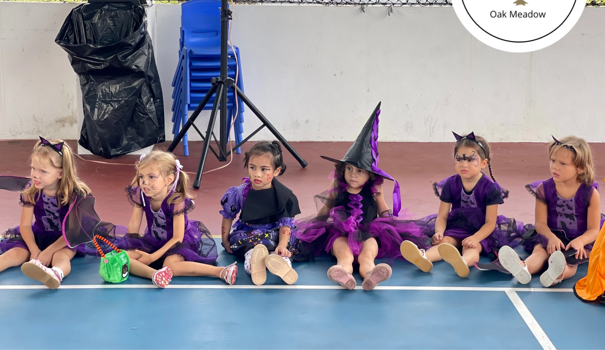 IMG_2762 3 copy1.webp