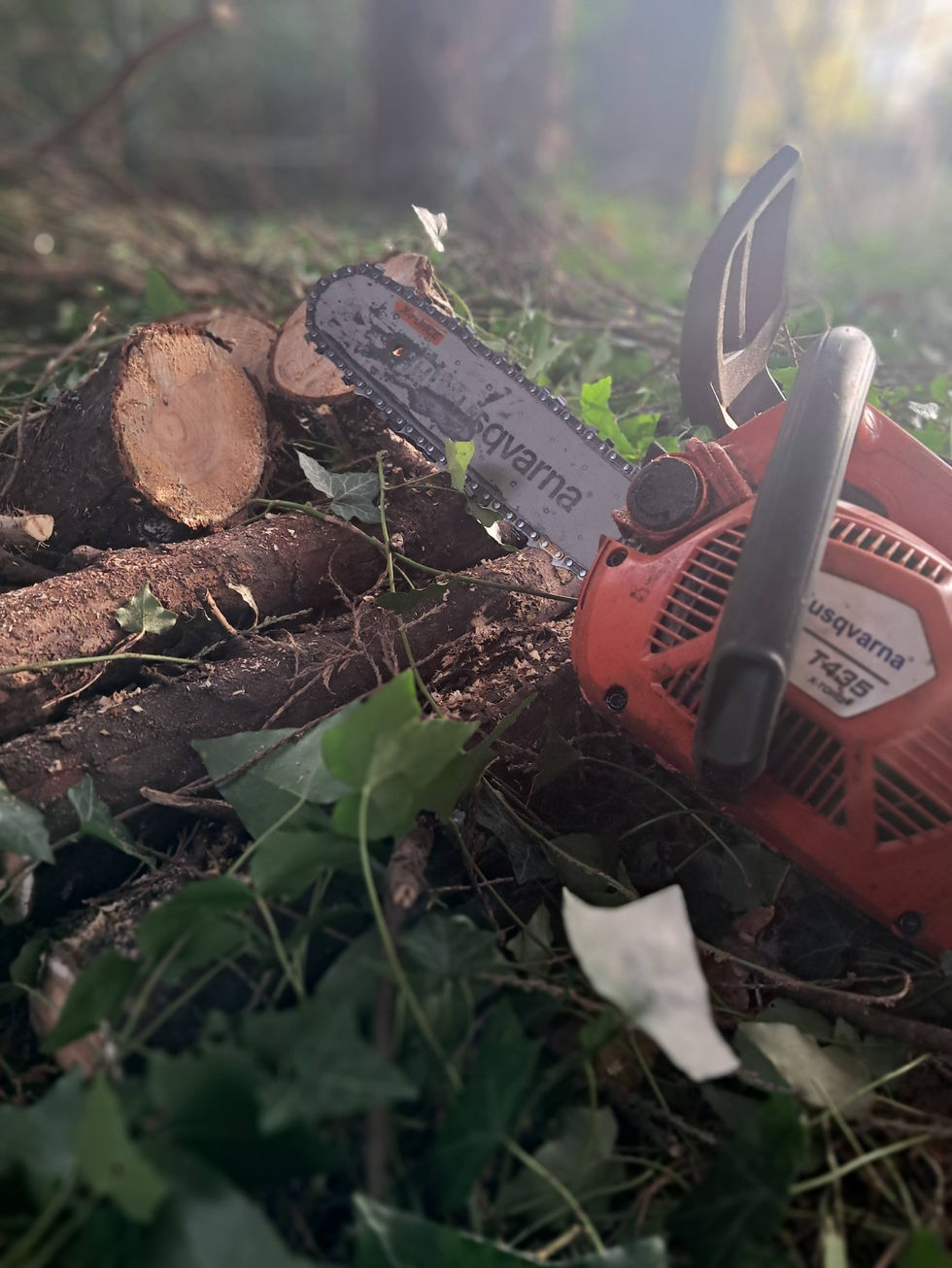 654208567_1447510420408267_2426021401847878723_n