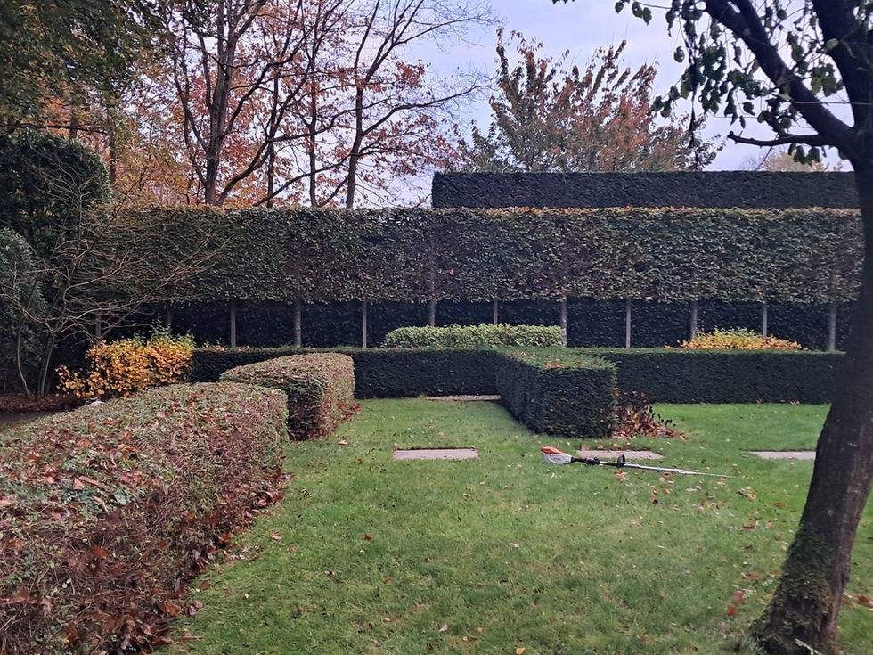 653821869_1447511970408112_817350745943544469_n