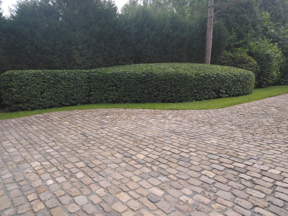 485004205_2981928598639898_8427470782252136851_n