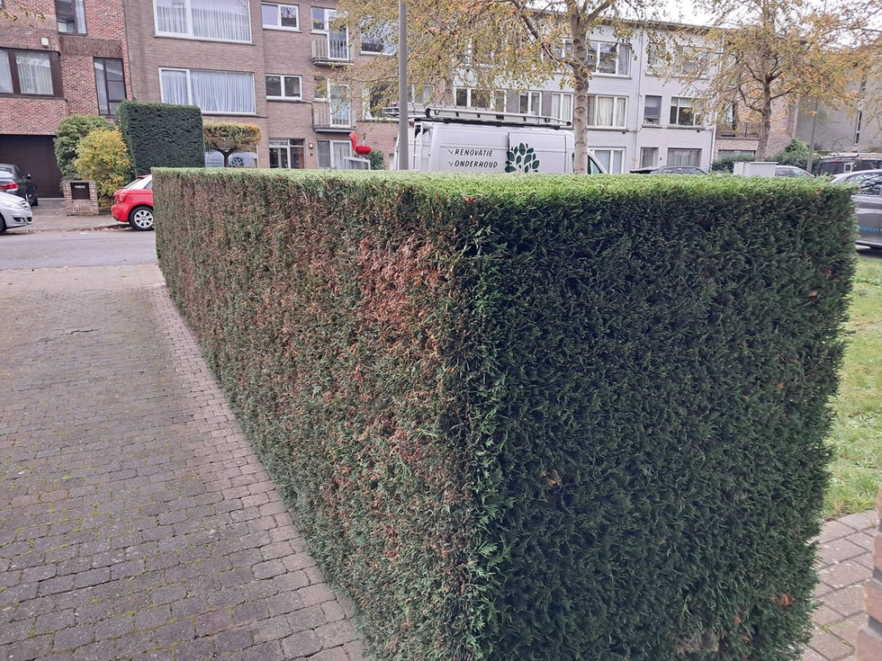 654446449_1447509697075006_2994292438994663263_n