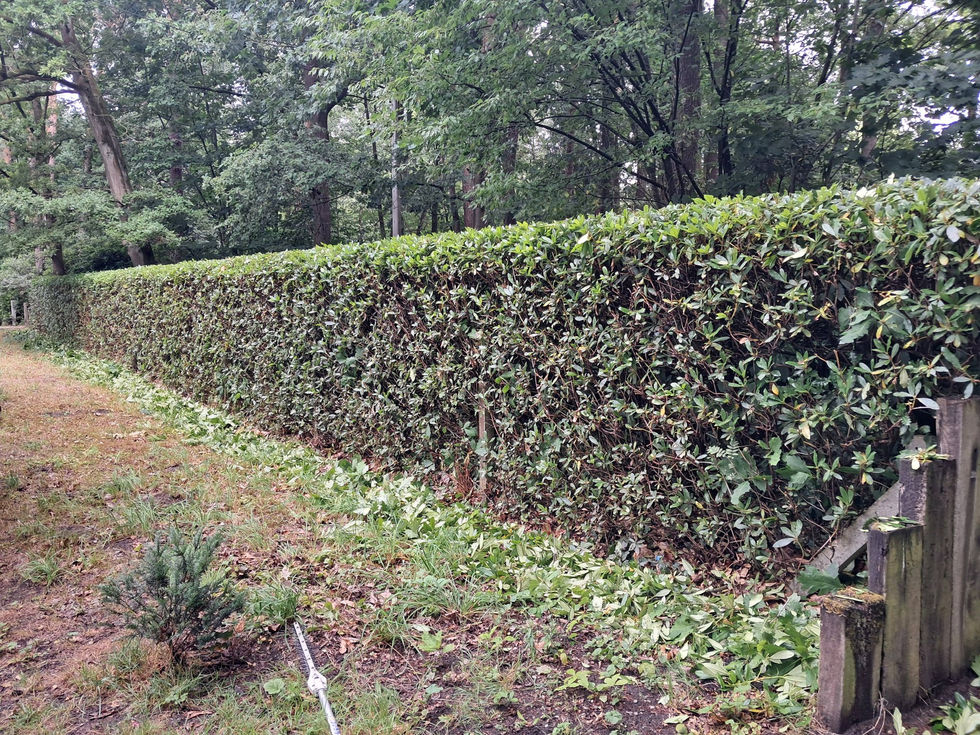 653171947_1447512783741364_7651508569679027232_n