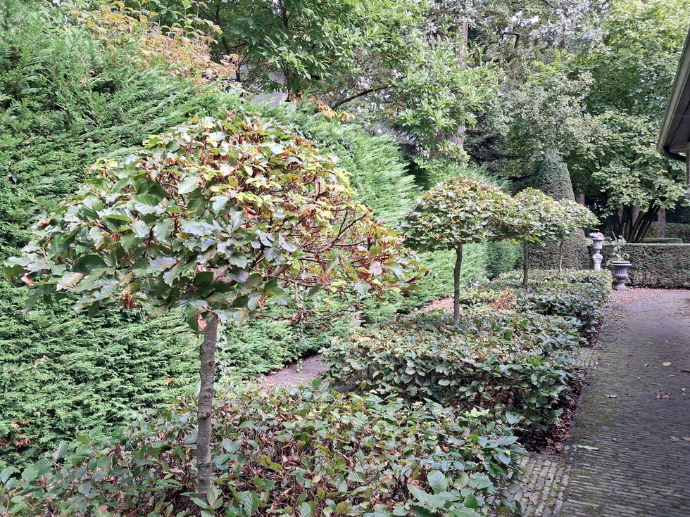 654843365_1447512347074741_5927668396761246036_n