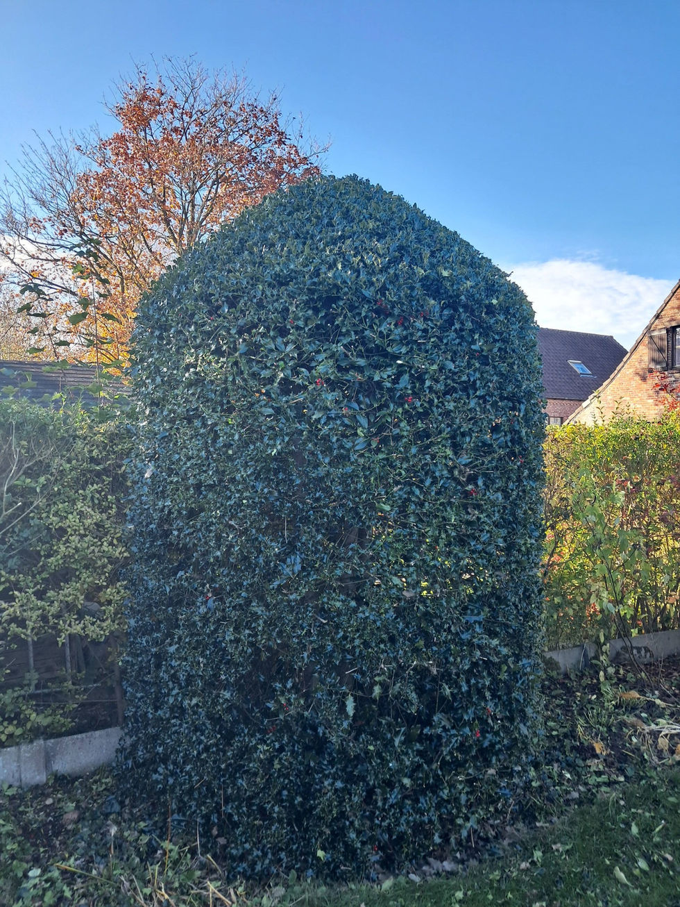 654801758_1447510170408292_3836873761785453040_n