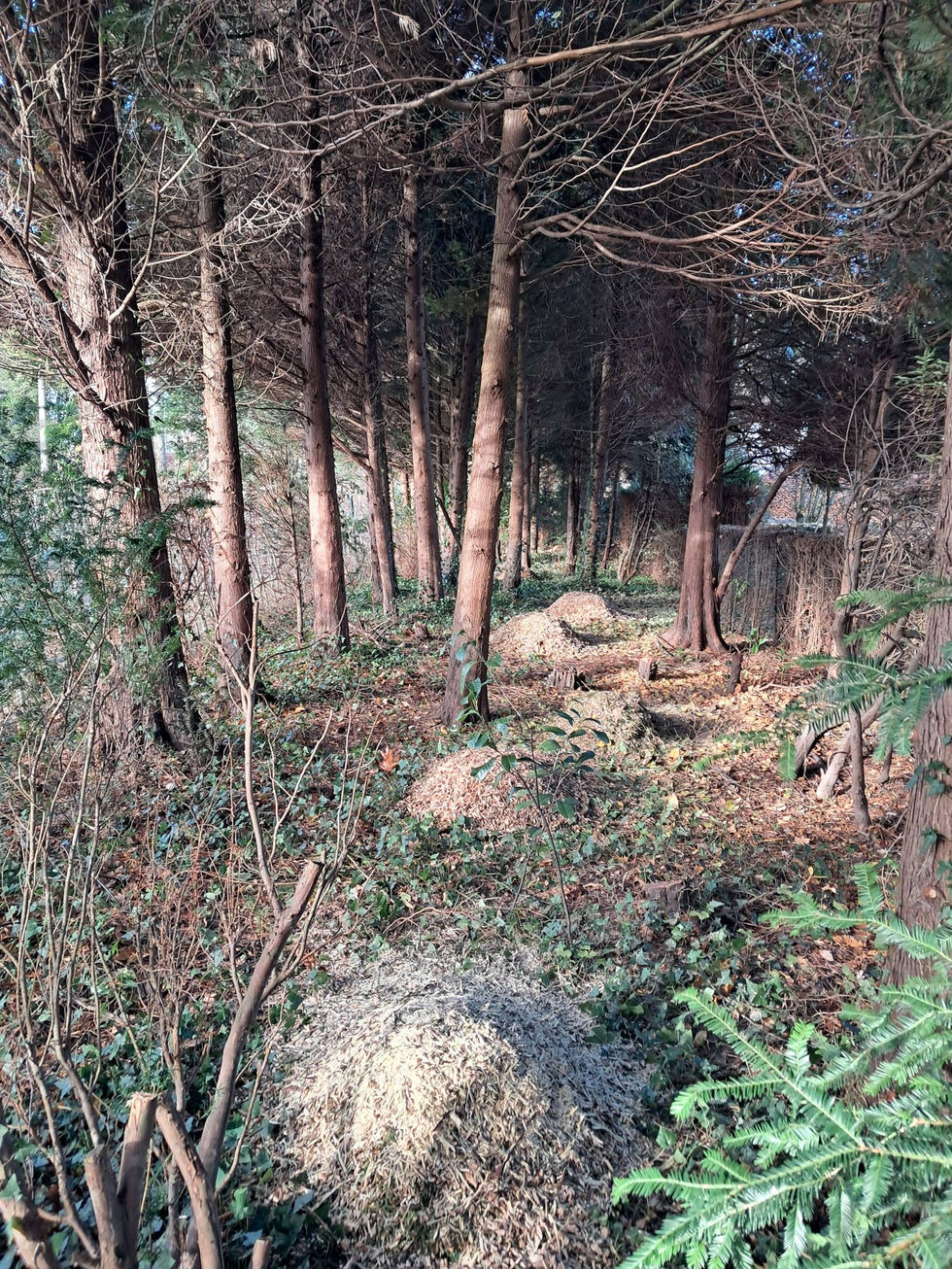 654205211_1447509330408376_6239098389304952242_n