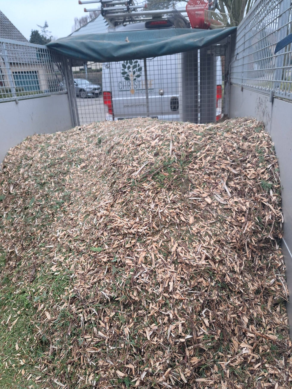 652287397_1447509130408396_4413079465270764709_n