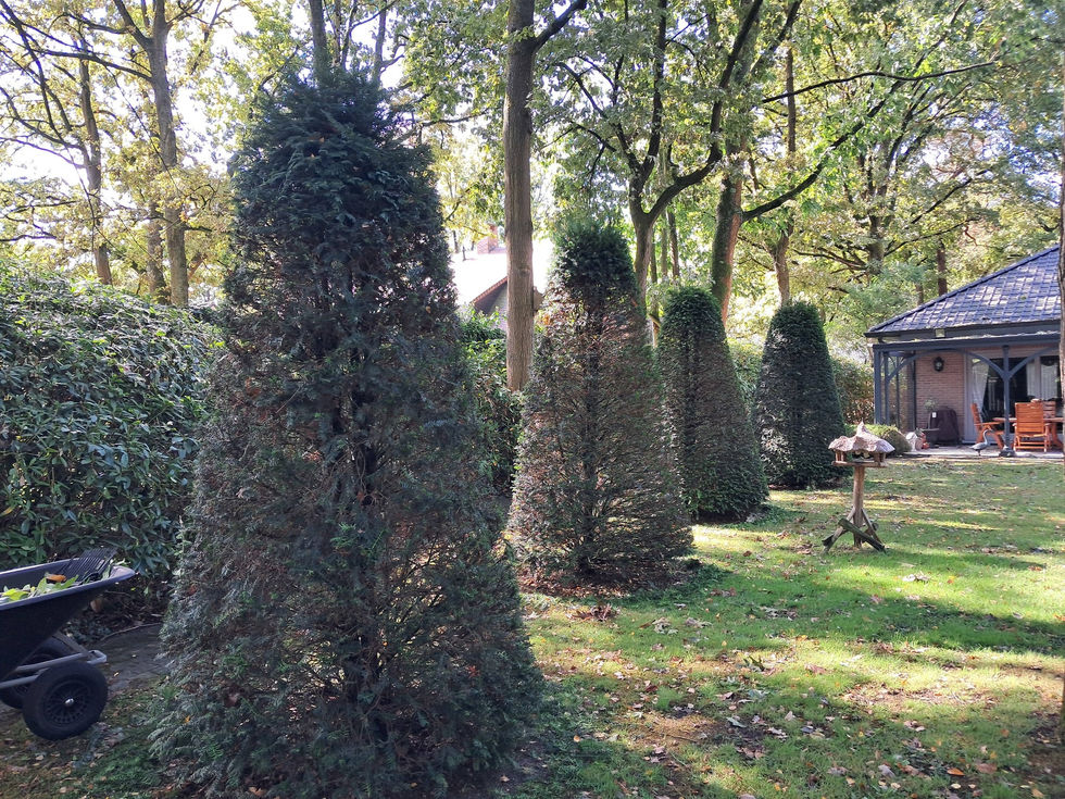 656017874_1447512210408088_4145546312277934398_n