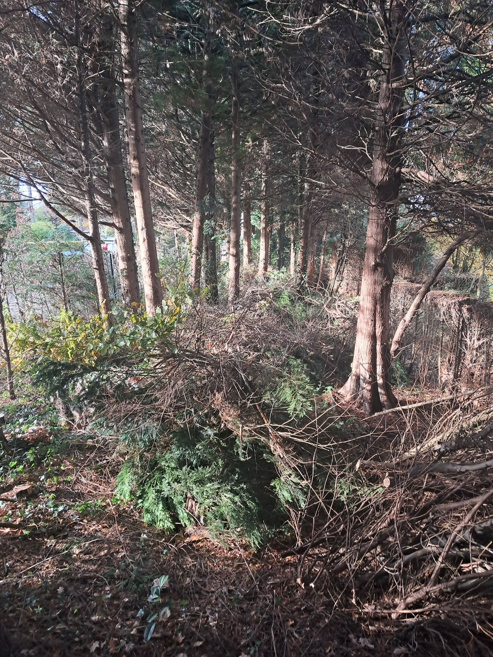 654976829_1447510300408279_7419807563556305425_n