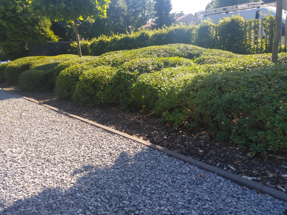 484576166_2981928595306565_193677690631466873_n