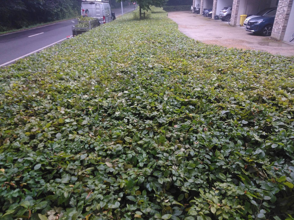 654324553_1447513833741259_6061262287793494850_n