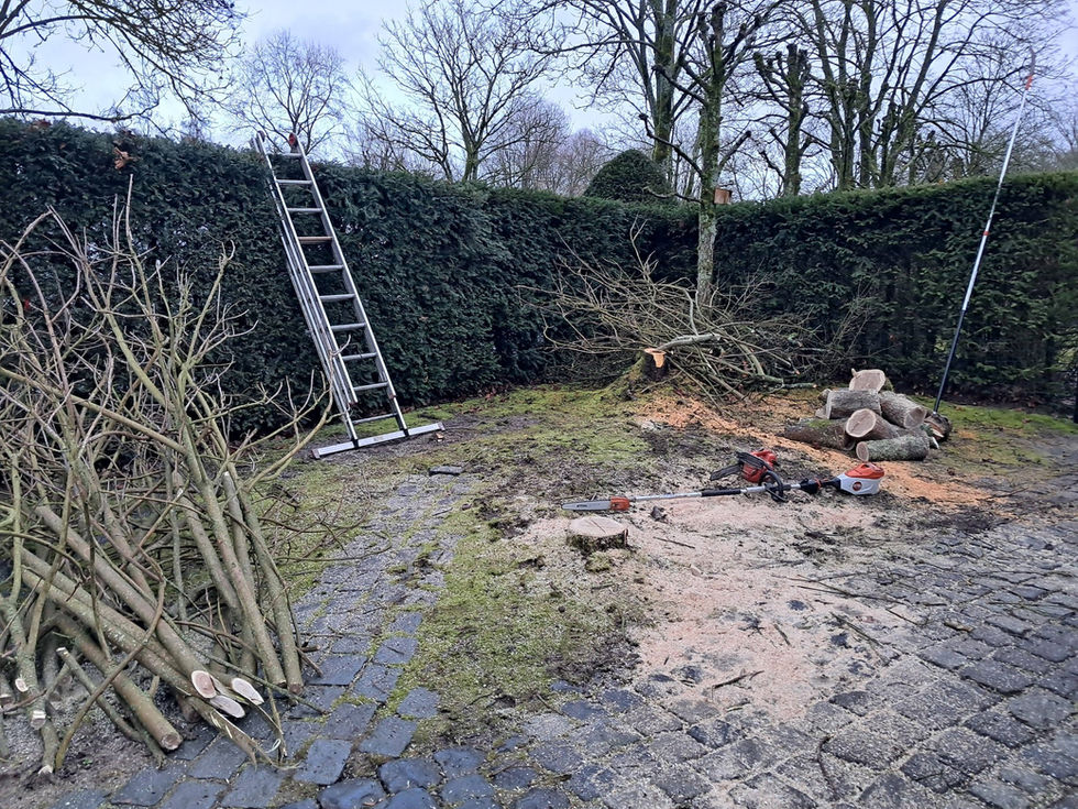 652379609_1447509093741733_6510568293173948738_n