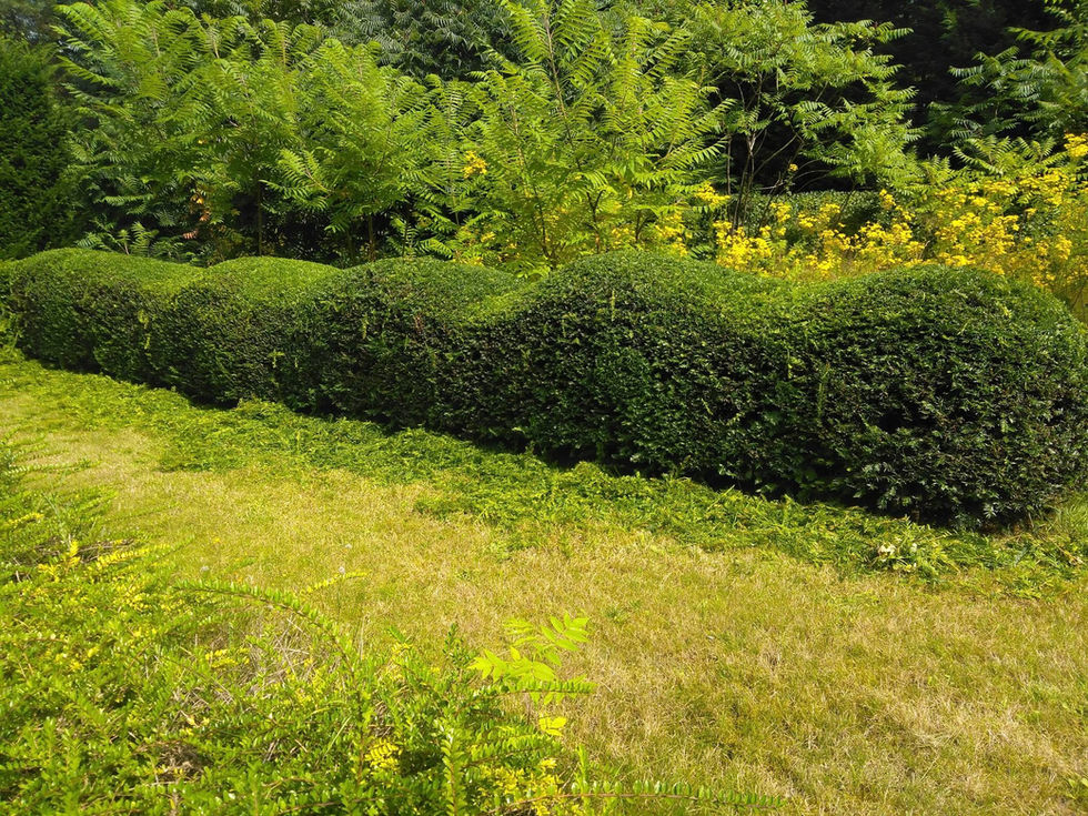 652852929_1447515090407800_3728642398112023691_n