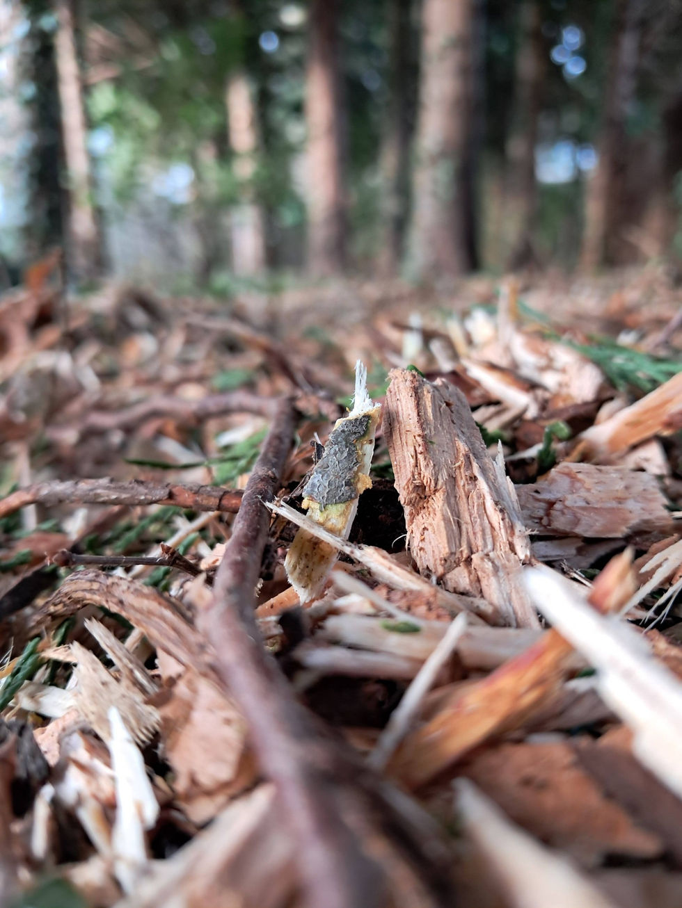 652081013_1447509513741691_921242186448147497_n