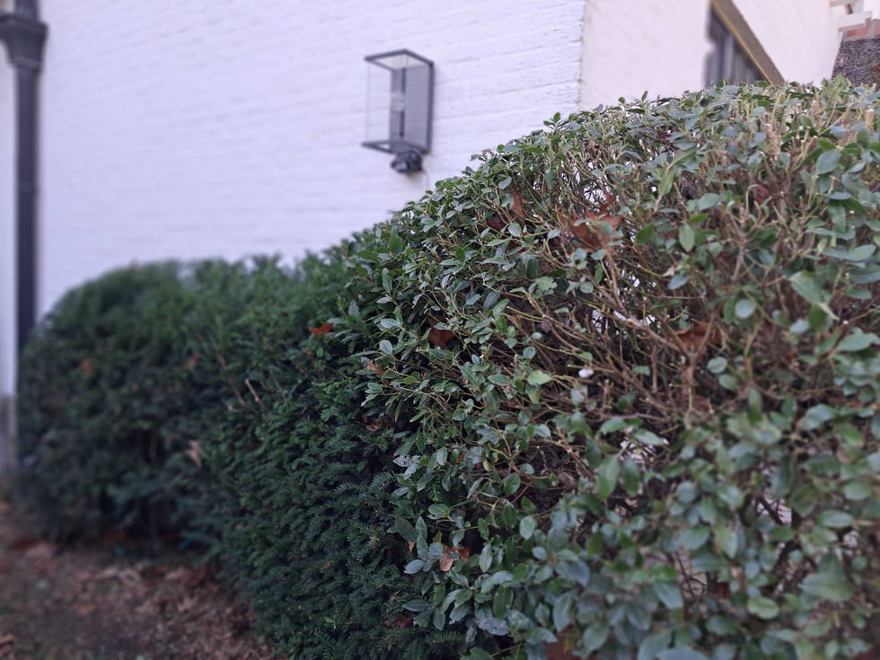 653263429_1447509810408328_1307068919110266511_n