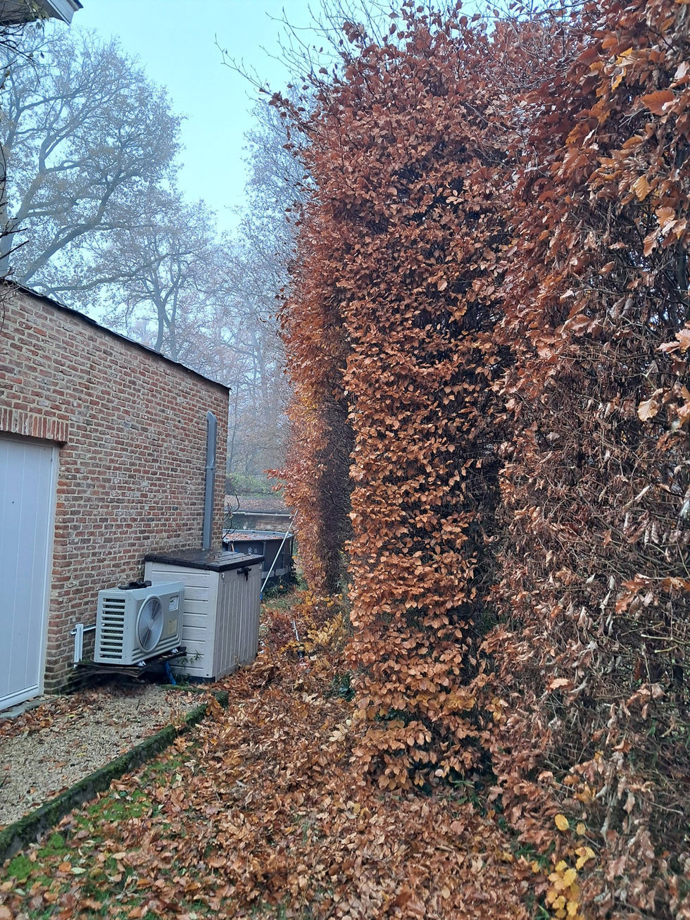 653289787_1447509167075059_2365083570556250536_n