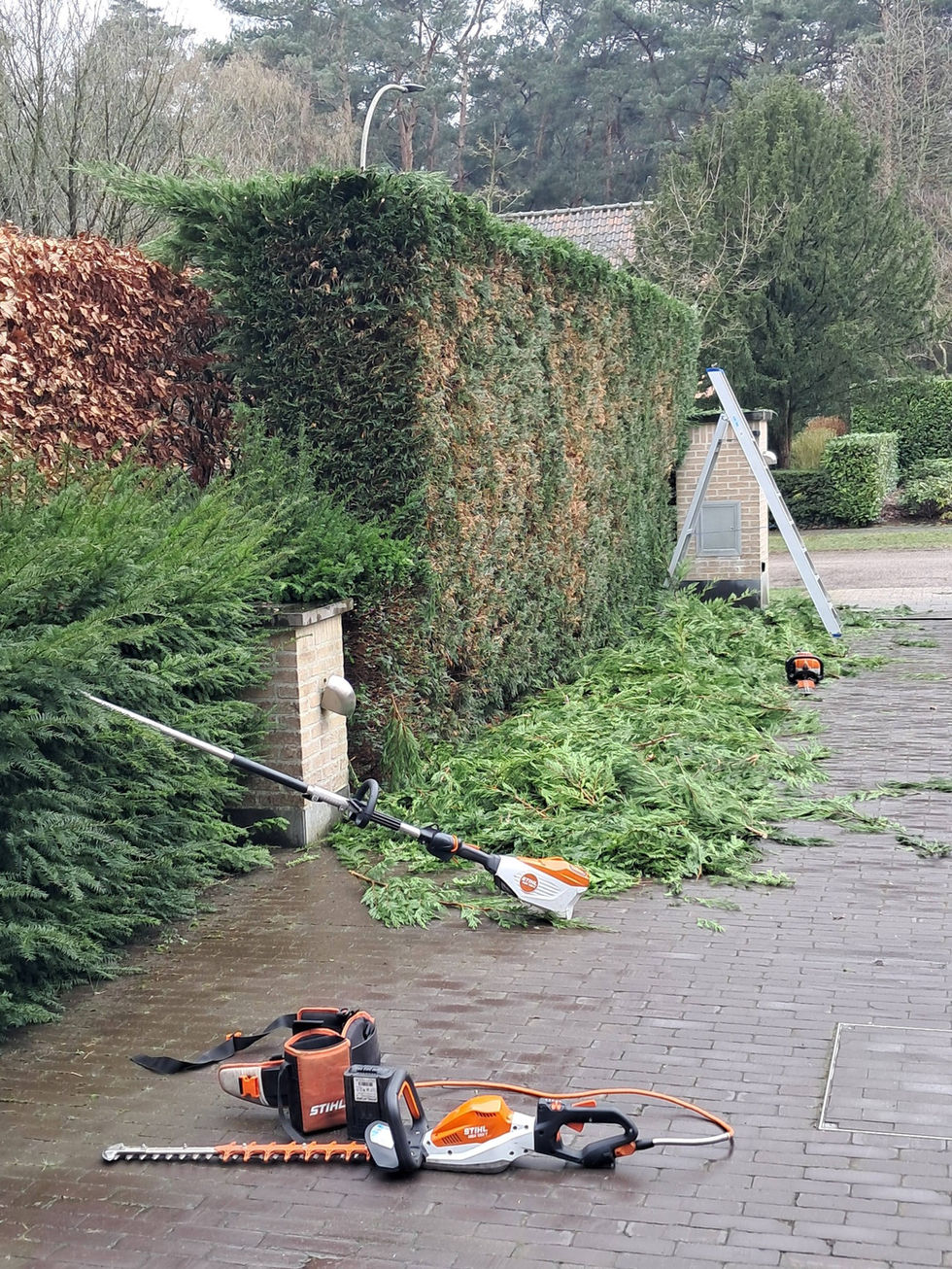 655719976_1447509003741742_5908674216222107610_n