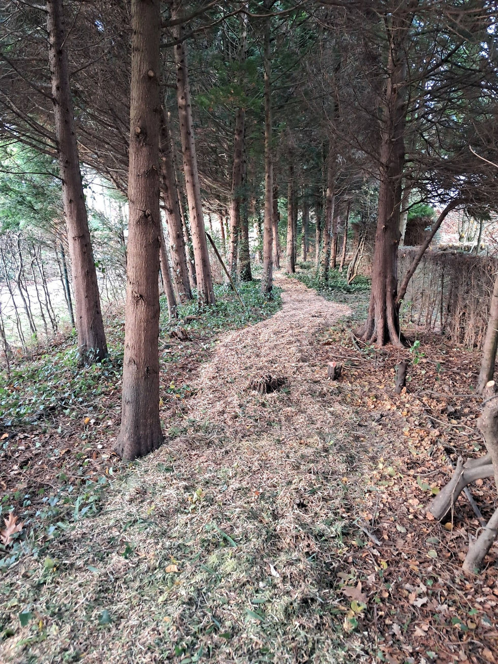 653701518_1447509440408365_9084381417066184451_n