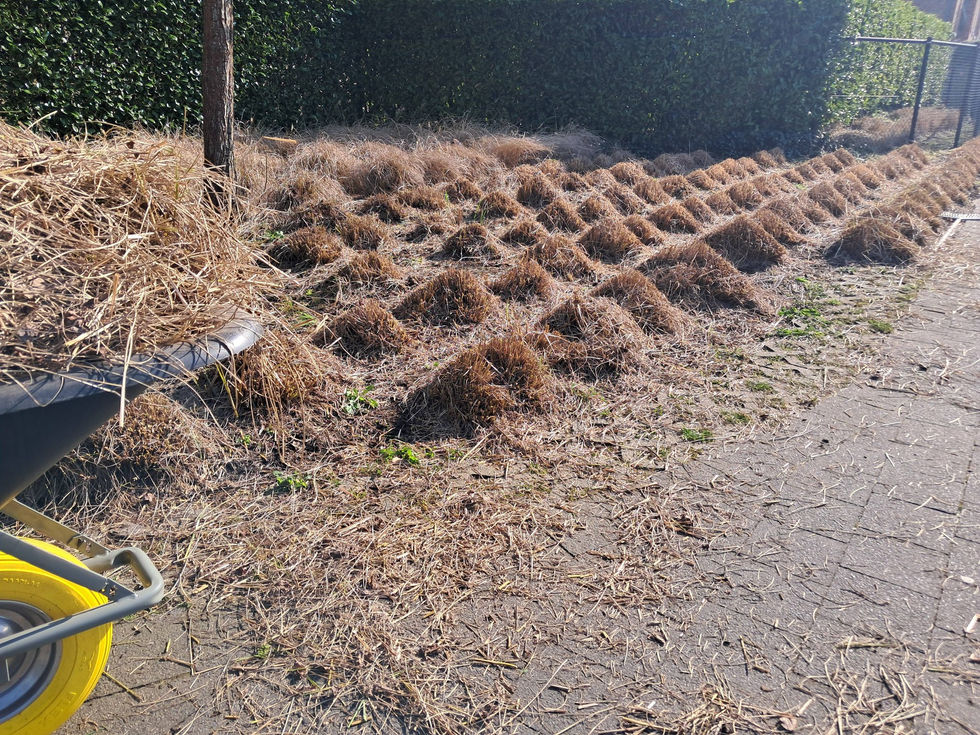 653707936_1447508937075082_2390352454549558954_n