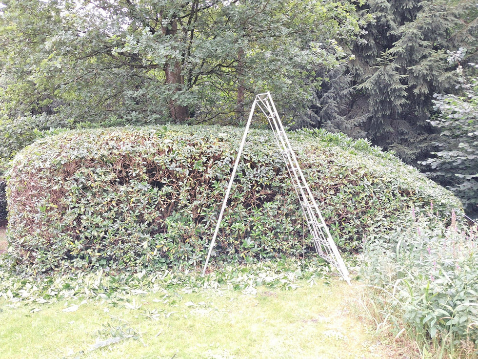 655020835_1447512453741397_6537185129764943278_n