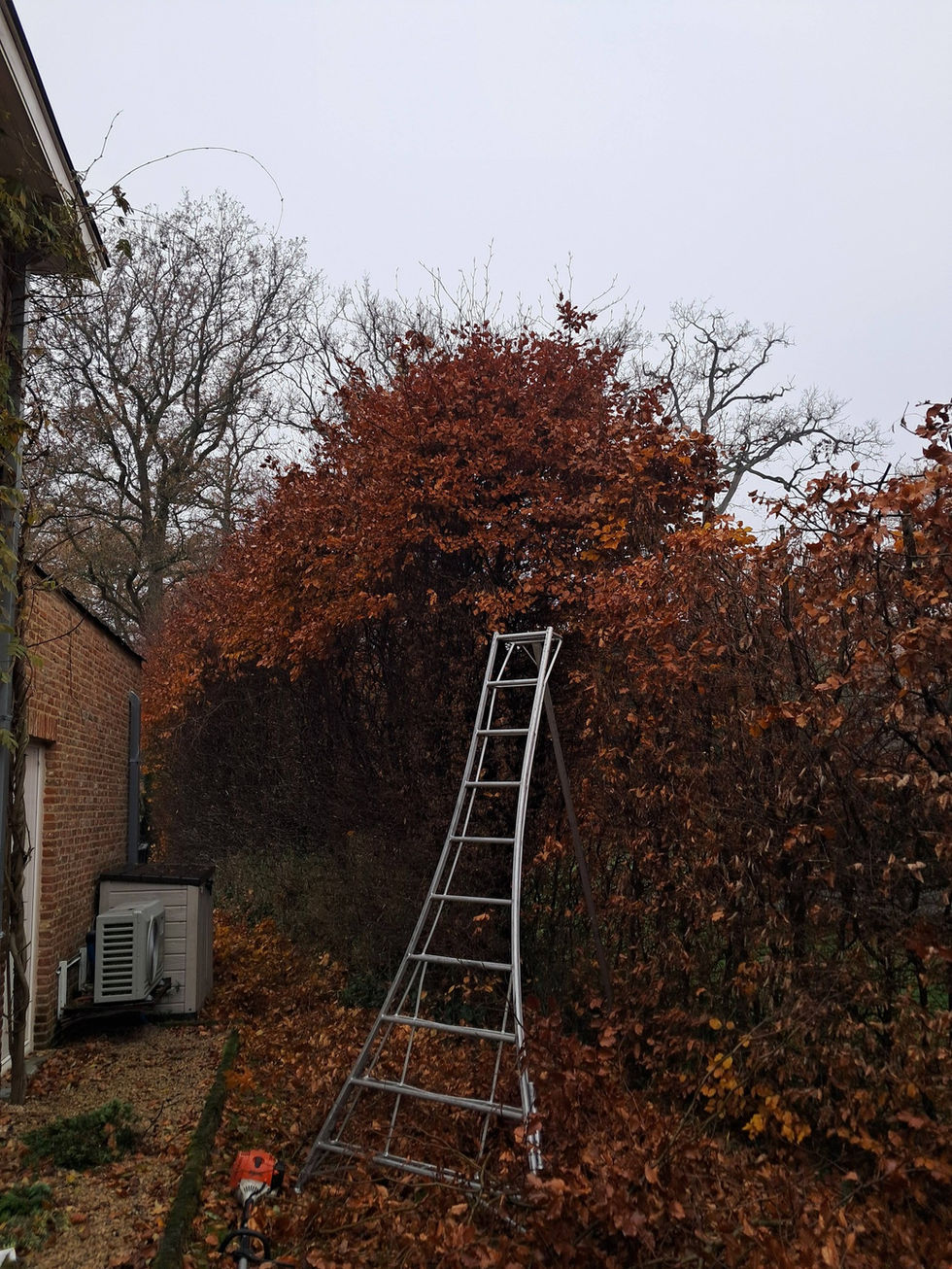 653076880_1447509257075050_529939092848410922_n