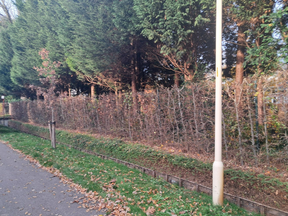 653713079_1447511910408118_8914114633885167468_n