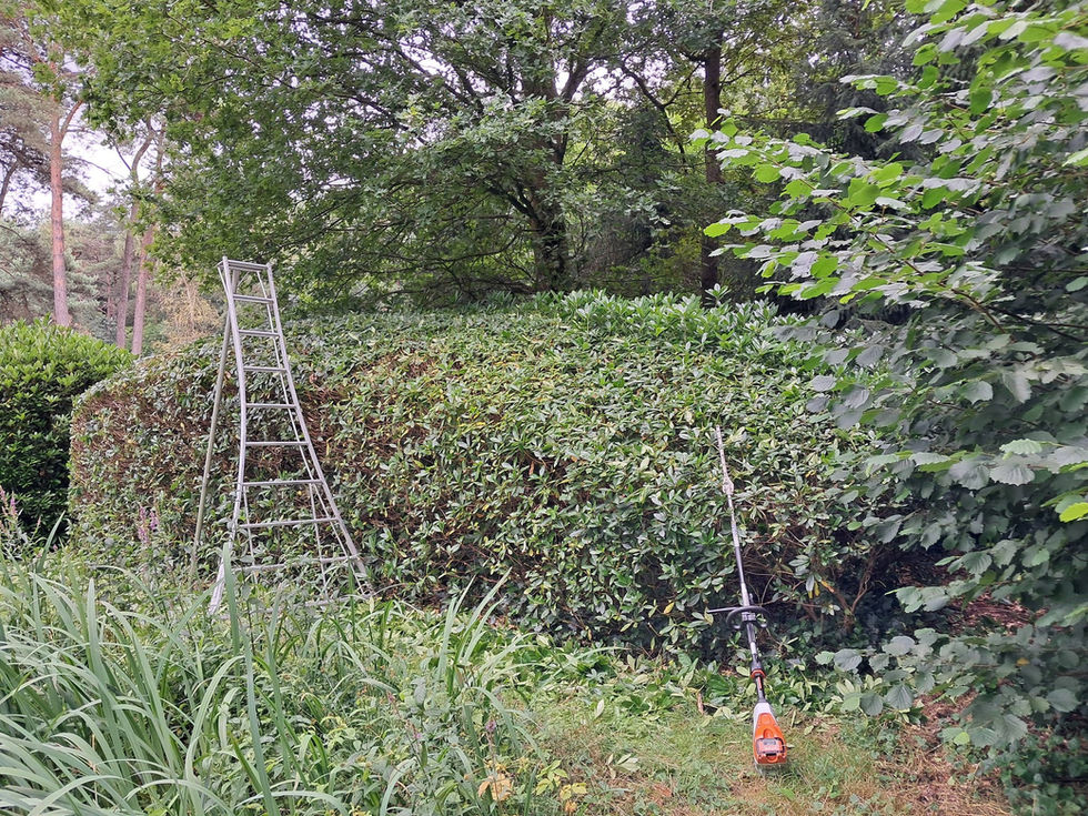 651915351_1447513327074643_8778996733423979969_n