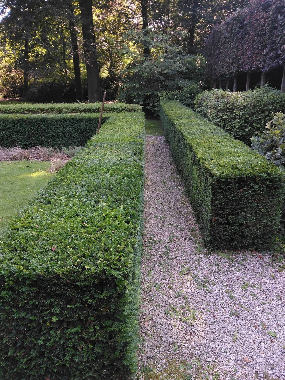 654404041_1447515293741113_6627169955873399293_n