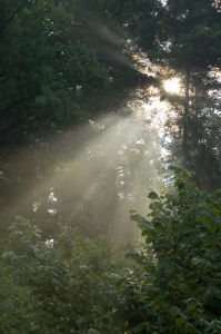 October 25, 2012 (Psalm 4:6)