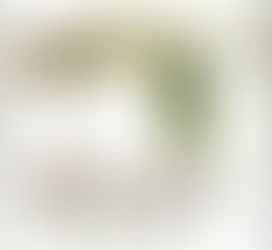 October 19, 2012 (Psalm 4:5)