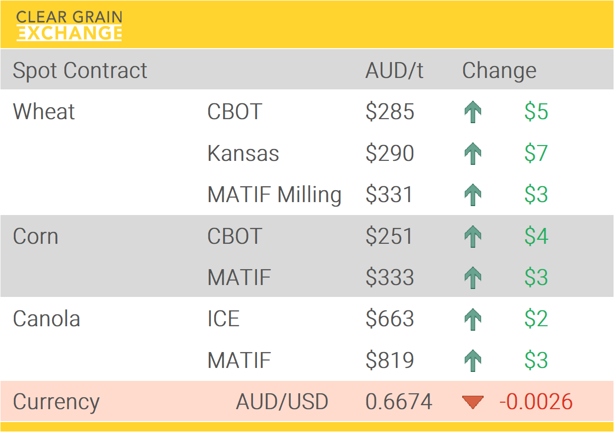 Grain Report Monday- 19th January