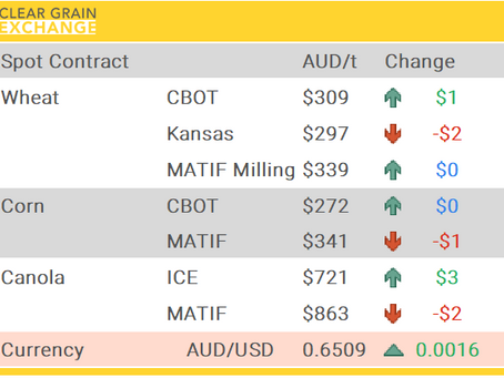 Grain Report Wednesday - 19th November