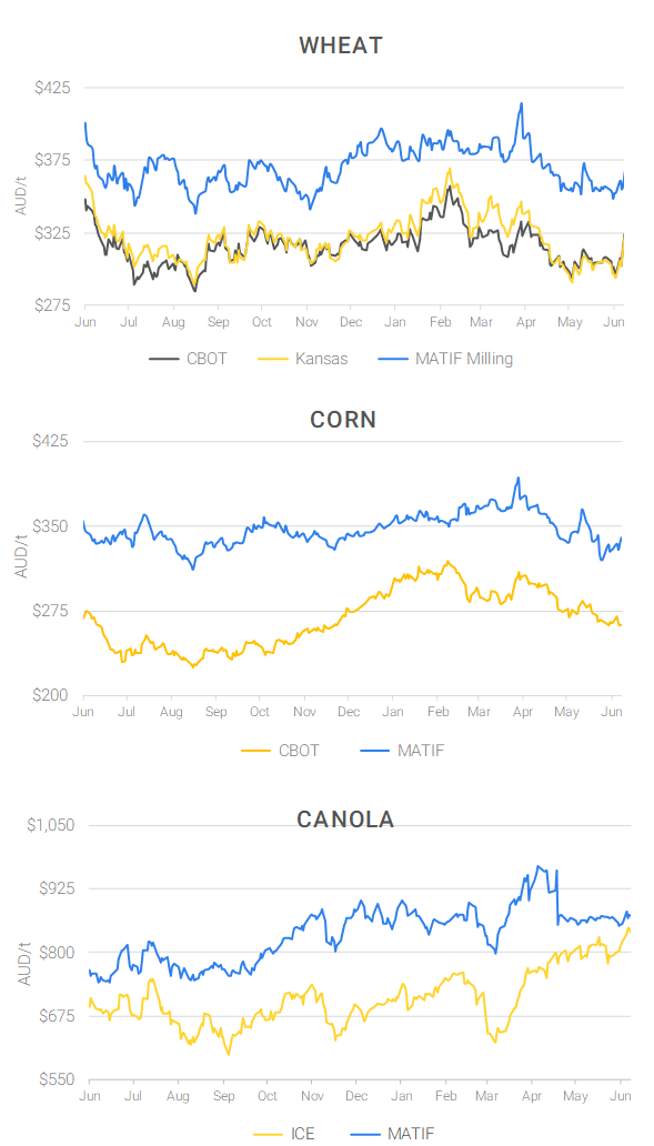 Chart including Wheat CBOT prices, Wheat Black Sea prices, Canola ICE prices and Canola MATIF prices